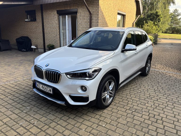 Read more about the article BMW X1