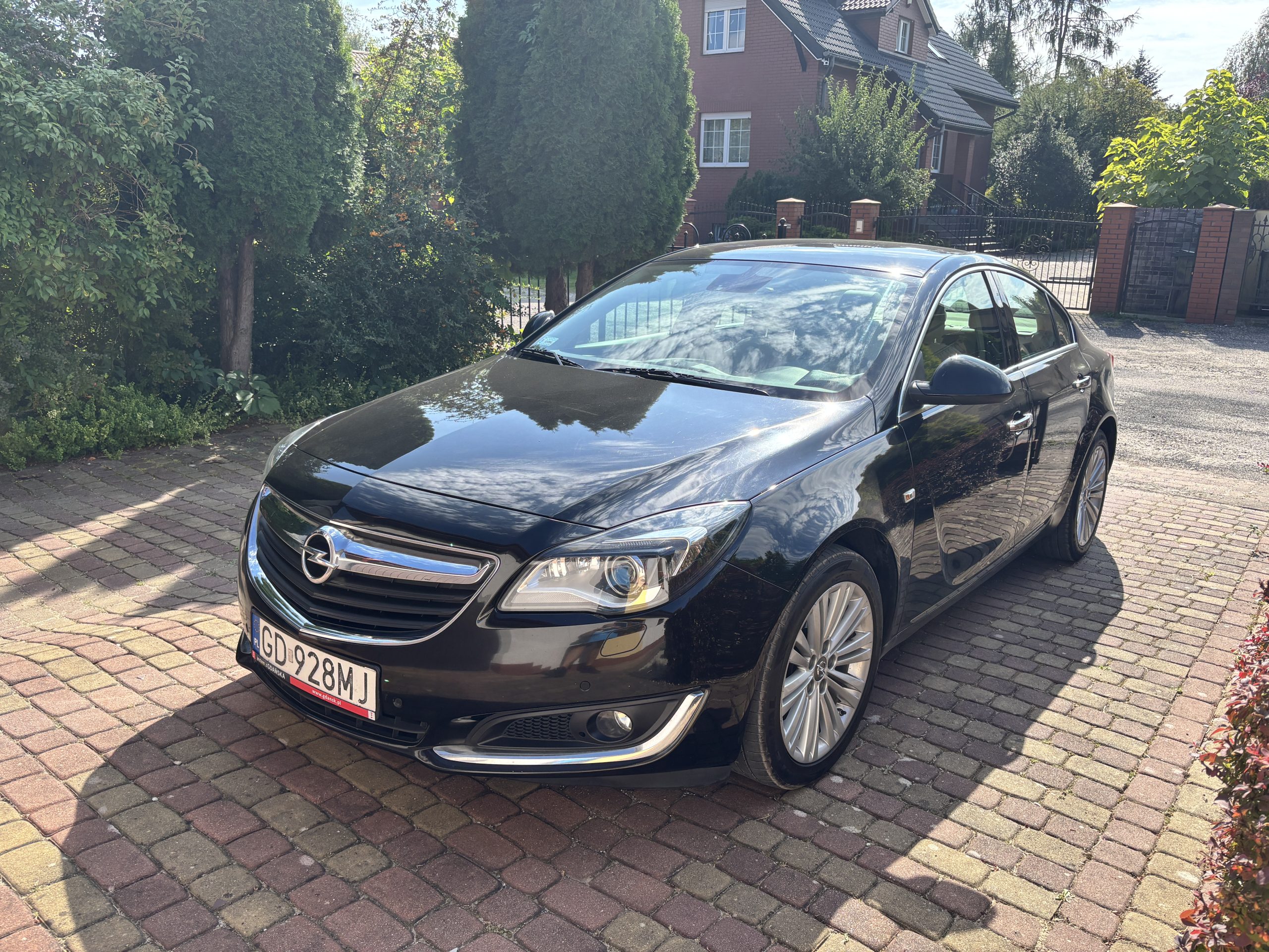 Read more about the article OPEL INSIGNIA