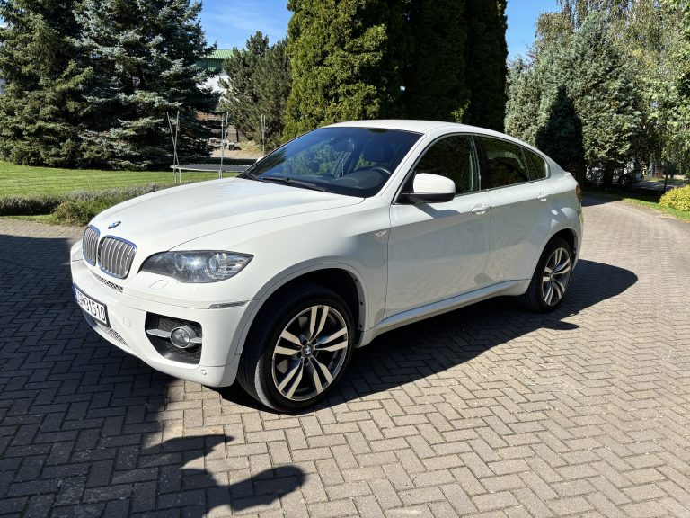 Read more about the article BMW X6