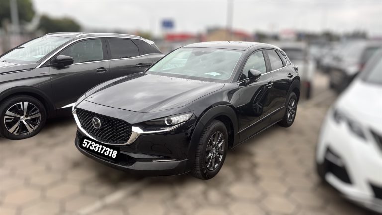 Read more about the article MAZDA CX-30