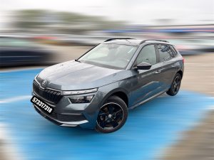 Read more about the article SKODA KAMIQ