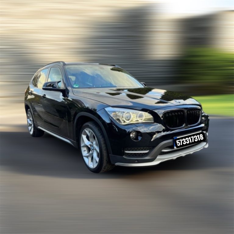 Read more about the article BMW X1