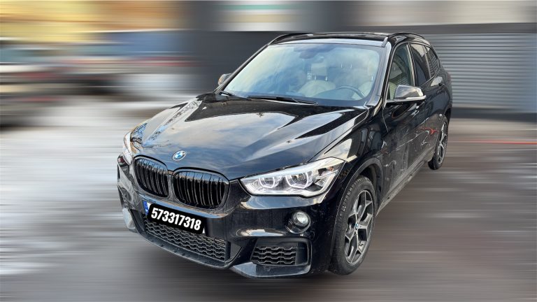 Read more about the article BMW X1