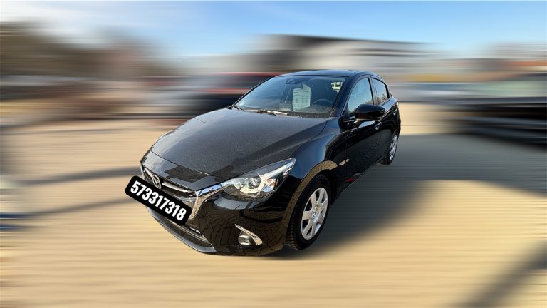 Read more about the article MAZDA 2