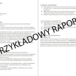 przykładowy raport