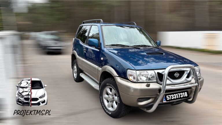 Read more about the article Sprawdzenie samochodu przed kupnem Nissan Terrano 2