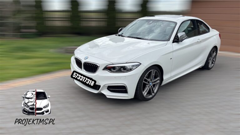 Read more about the article Sprawdzenie samochodu przed kupnem BMW seria2