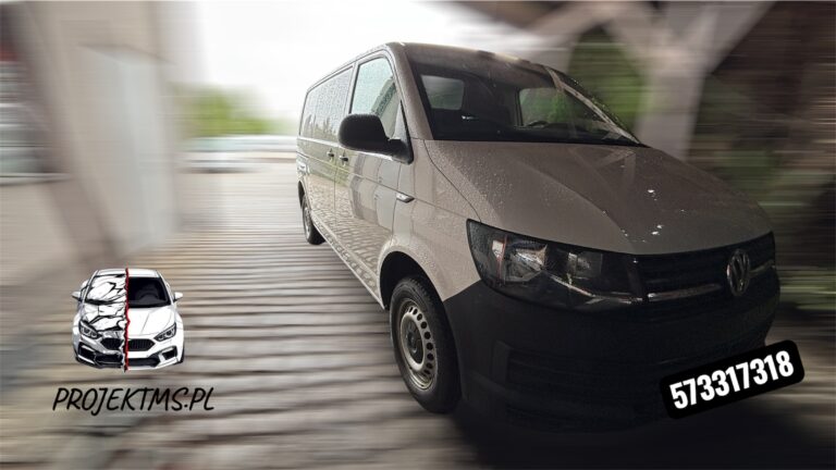 Read more about the article Sprawdzenie samochodu przed kupnem Volkswagen Transporter T6