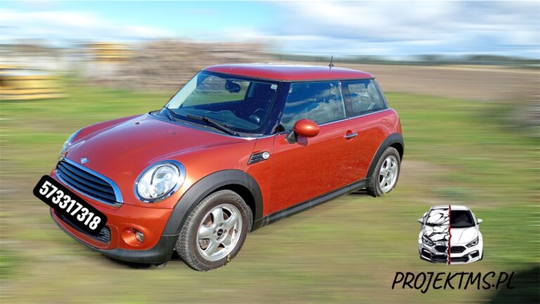 Read more about the article Sprawdzenie samochodu przed kupnem: Opis z oględzin Mini One (2011)