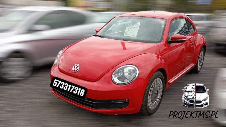 Sprawdzenie samochodu przed kupnem: Opis oględzin VW Beetle 2.5