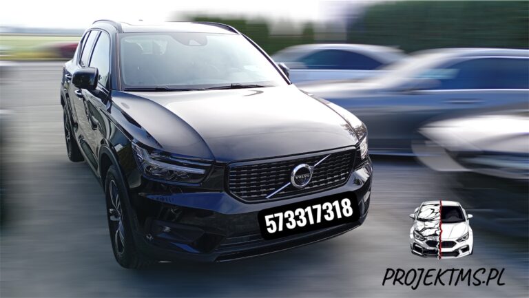 Sprawdzenie samochodu przed kupnem: Opis stanu Volvo XC40